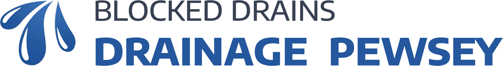website logo